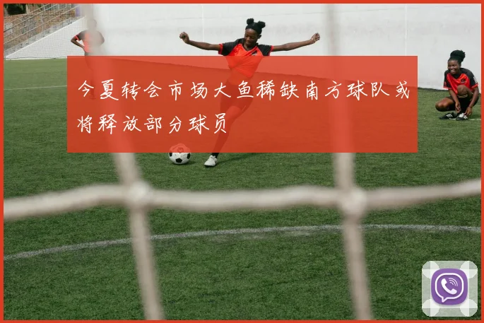 今夏转会市场大鱼稀缺南方球队或将释放部分球员